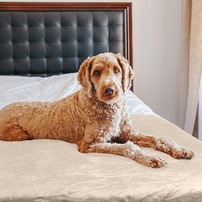 PETMAKER Dog Blanket - Image 7