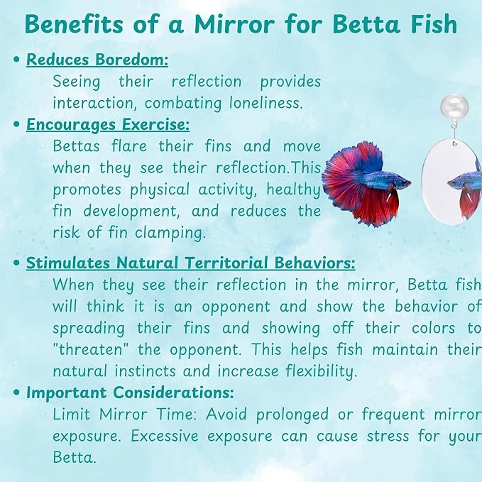 Betta Mirror Enrichment Fish Toys Stimulation, Betta Fish Tank Accessories - Image 7