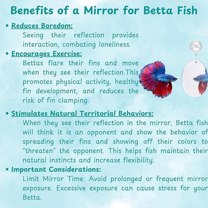 Betta Mirror Enrichment Fish Toys Stimulation, Betta Fish Tank Accessories - Image 7