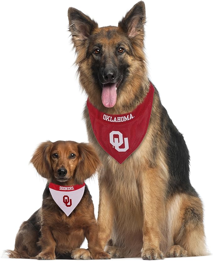 Pets First Collegiate Pet Accessories, Reversible Bandana, Indiana Hoosiers - Image 5