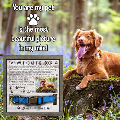 Customized Pet Memorial Picture Frame Dog Picture Loss Gift - Image 6