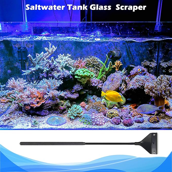 Algae Scraper for Glass Aquariums, Fish Tank Cleaner, Aquarium Algae Scrapers - Image 3