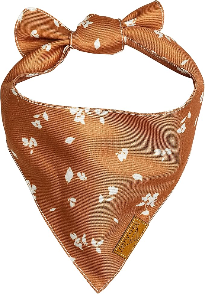 Remy+Roo Small Spring Dog Bandanas - Image 4