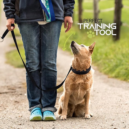 Ram-Pro Dog Training Pinch Collar Large Triple Crown Gentle Effective/No - Image 4