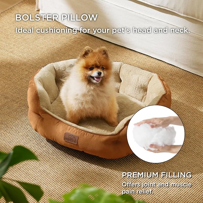 Bedsure Dog Beds for Small Dogs - Image 3