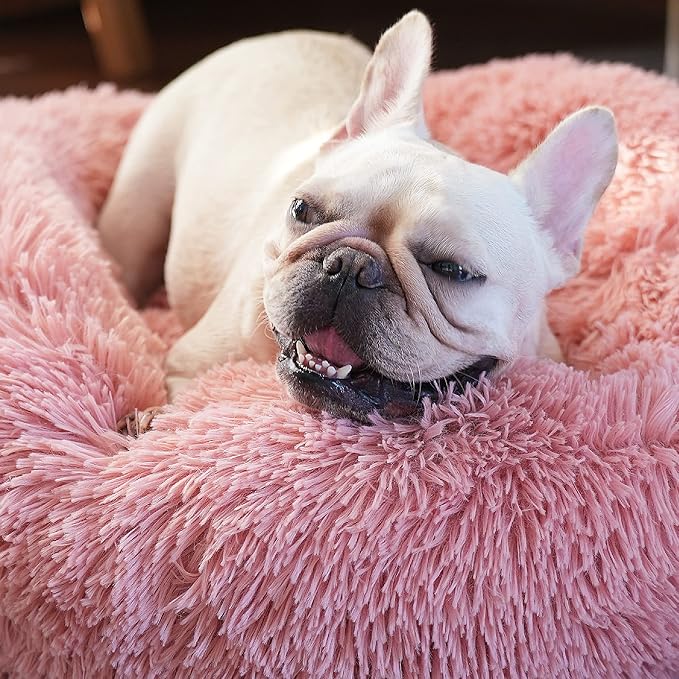Calming Donut Dogs Beds for Small Dogs Washable, 23inch Plush Round Pet Bed for - Image 6