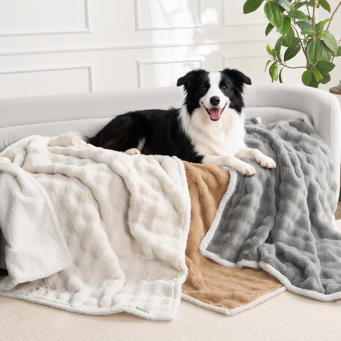 Soft Cozy Waterproof Dog Blanket - Image 2