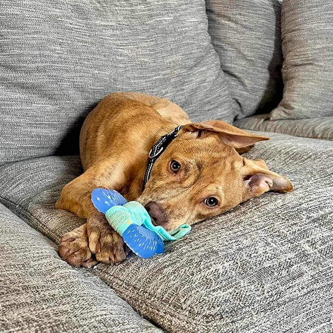 Nylabone Freezer Bone Puppy Chew Toy, Soothing Teething Toys - Image 2