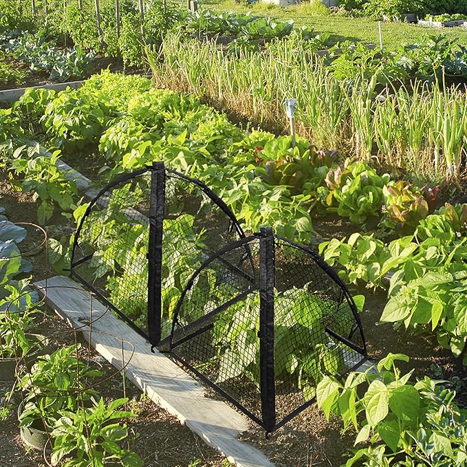 Strawberry Plant Protector, Plant Protection Tent - Image 6