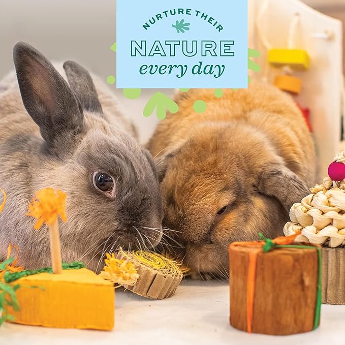 Oxbow Enriched Life Birthday Party Pack, Rabbit & Guinea Pig Toys, Enrichment - Image 5