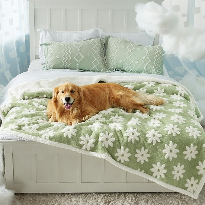 LE SURE Waterproof Dog Blanket for Large Dogs by Lesure