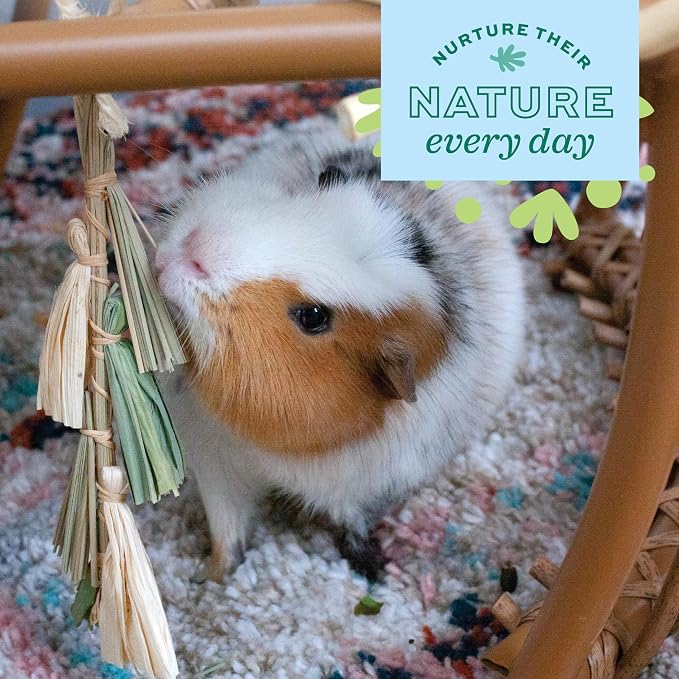 Oxbow Enriched Life Natural Dangly Party Pack, Rabbit Toys, Guinea Pig Toys - Image 7