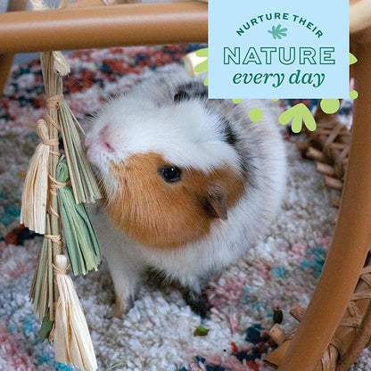 Oxbow Enriched Life Natural Dangly Party Pack, Rabbit Toys, Guinea Pig Toys - Image 7