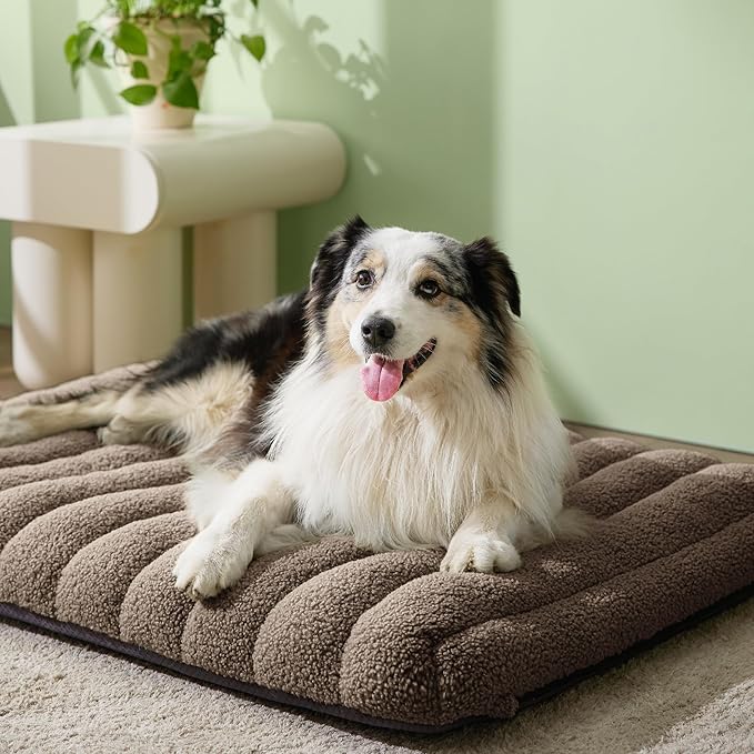 LE SURE Cute Orthopedic Dog Bed Large Sized Dog, Waterproof Chic Flat Pet Beds - Image 2