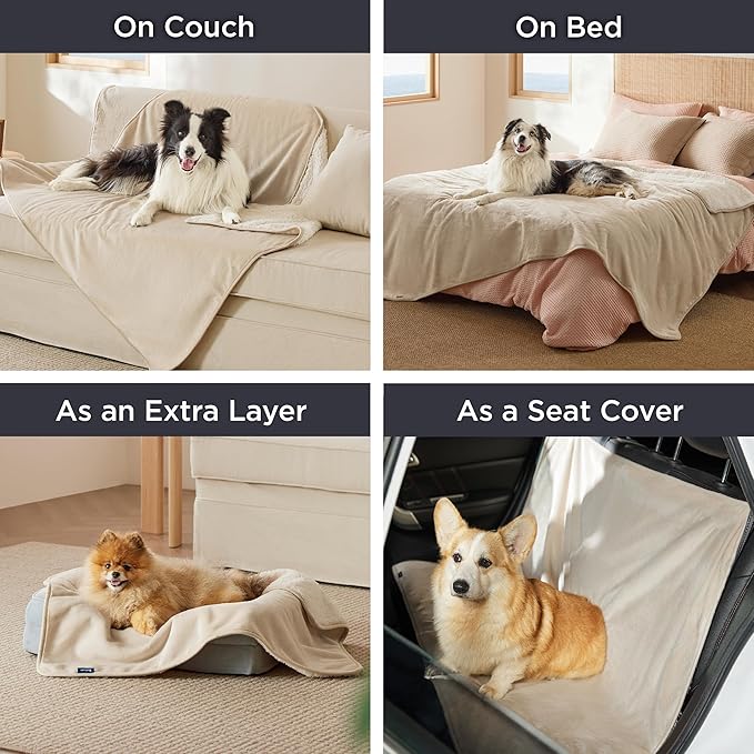Bedsure Cat Blanket for Indoor Cats - Image 9