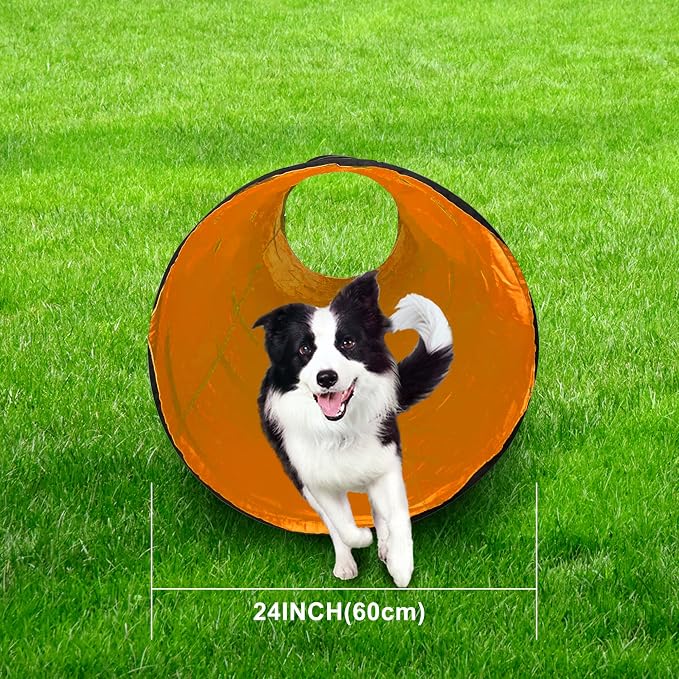 Dog Agility Tunnel, Dog Agility Equipment, Dog Agility Training - Image 5