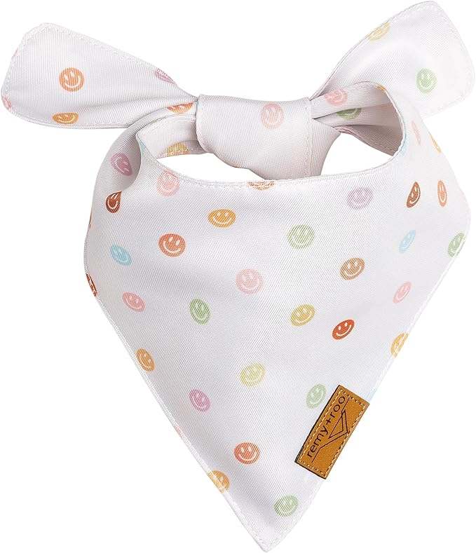 Remy+Roo Large Spring Dog Bandanas - Image 5