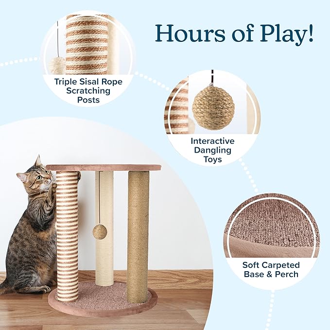 Cat Scratching Post - Image 2