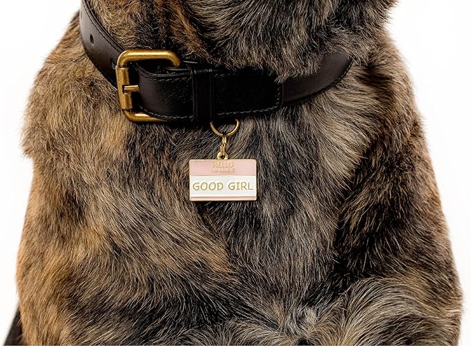 Two Tails Pet Company Personalized 'Good Girl' Pet ID Tag & Collar Charm - Image 4
