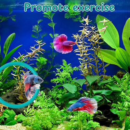 2 pcs Betta Ring Enrichment Toys - Image 3