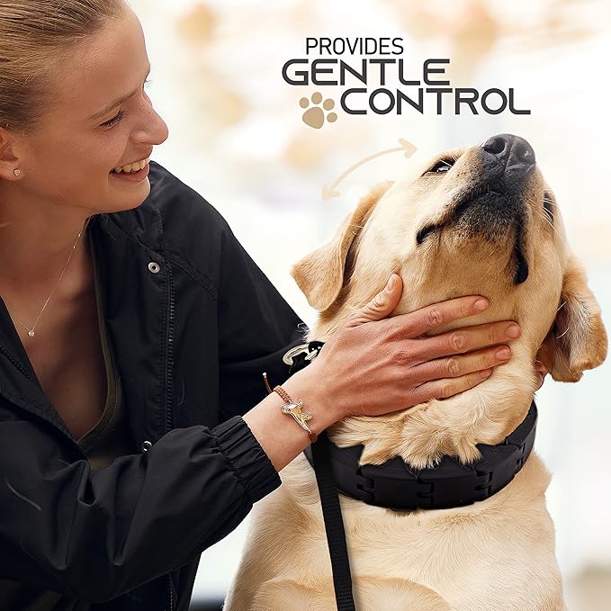 Ram-Pro Dog Training Pinch Collar Large Triple Crown Gentle Effective/No - Image 3