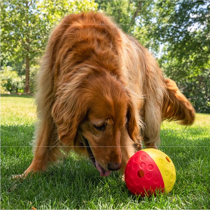 Outward Hound by Nina Ottosson Treat Tumble – Interactive Food-Dispensing Dog - Image 8