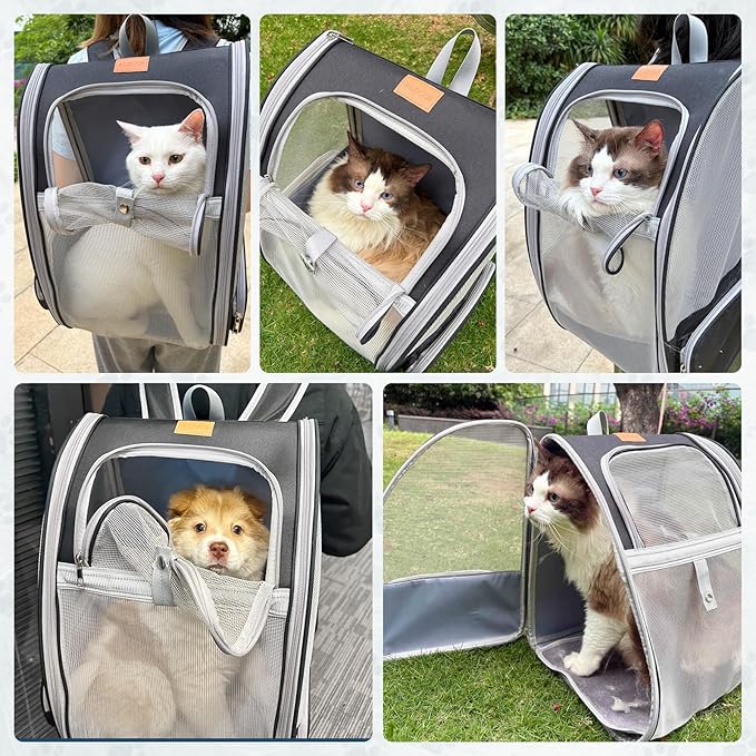 Cat Backpack Carrier, Pet Backpack Carrier Cats and Small Dogs, Collapsible - Image 5
