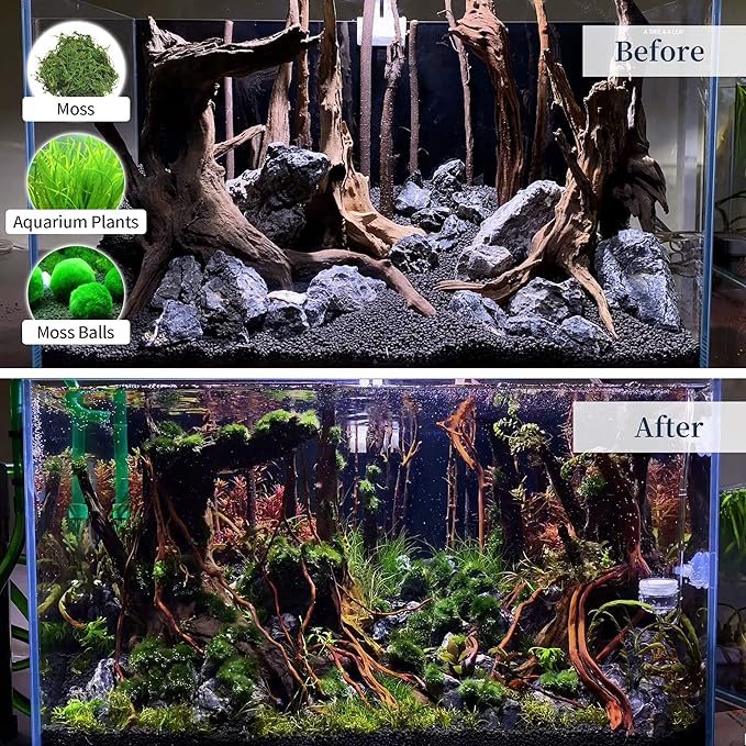 majoywoo Natural Large Driftwood - Image 6