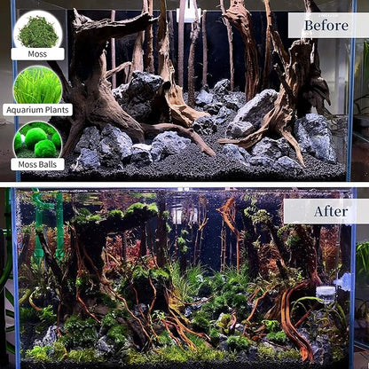 majoywoo Natural Coral Driftwood - Image 6