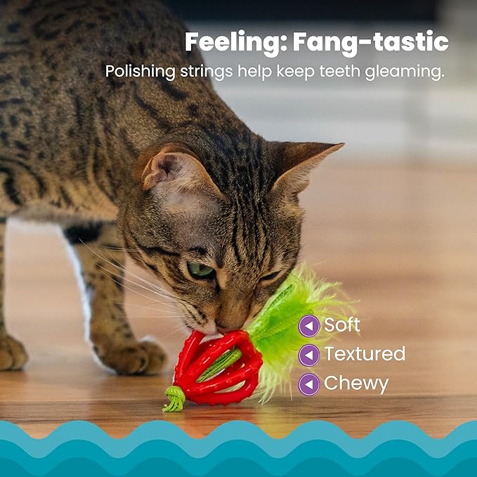 Catstages Dental Strawberry Teether, Soft and Textured Cat Chew Toy, Catnip Oil - Image 3
