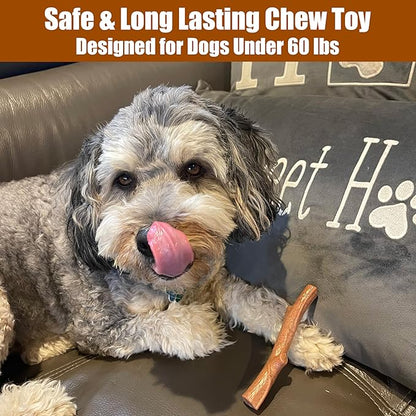 SPOT Bam-Bones Plus Branch -Bamboo Fiber & Nylon, Durable Long Lasting Dog Chew - Image 5