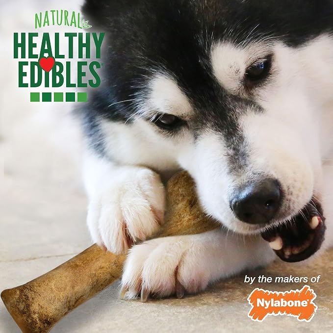 Nylabone Healthy Edibles Natural Dog Chews, Long Lasting Bones - Image 6
