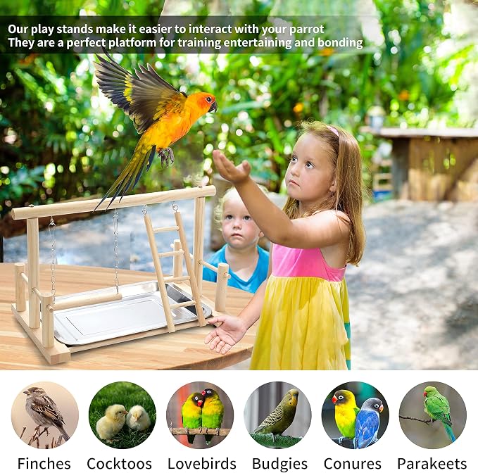 Natural Wood Bird Playground Parrot Perch Playstand Play Gym Stand Playpen - Image 2