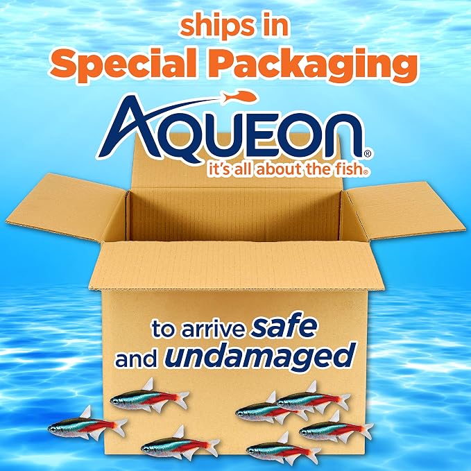 Aqueon Aquarium Silicone Sealant Clear 10 Ounces - Image 8
