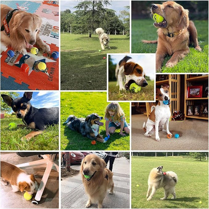 Tennis Balls for Dogs - Image 9