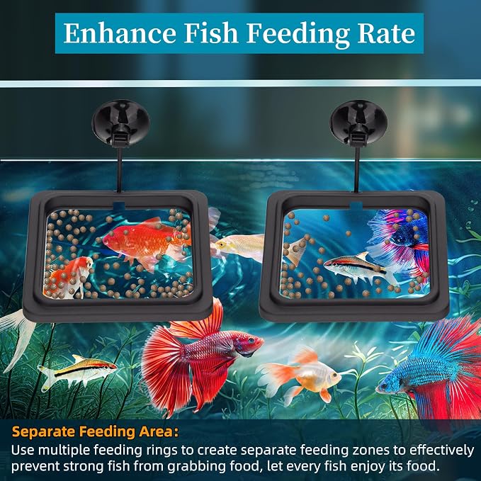 Fish Feeding Ring Aquarium Square Floating Food Feeder Circle - Image 4