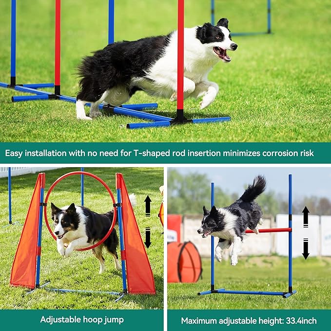 DWVO Dog Agility Accessories Kit: Comprises of a Teaser Pole, 2 Hurdles - Image 5