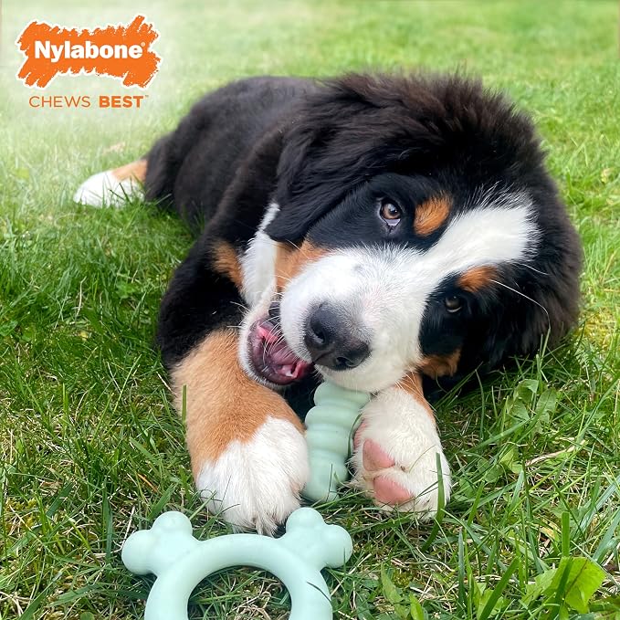 Nylabone Sensory Material Soothing Puppy Chew Toy Ring, Toys - Image 3