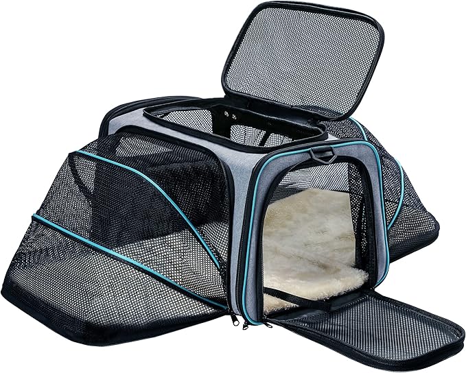 Cat Dog Carrier by TDHDIKE