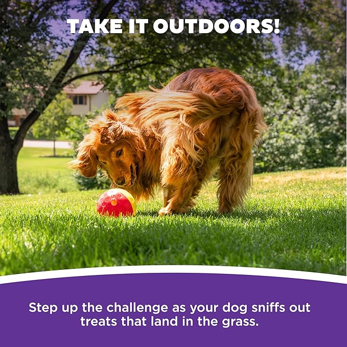 Outward Hound by Nina Ottosson Treat Tumble – Interactive Food-Dispensing Dog - Image 5