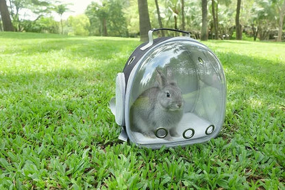 Small Animal Carrier Guinea Pig Backpack, Transparent, Breathable Backpack - Image 5