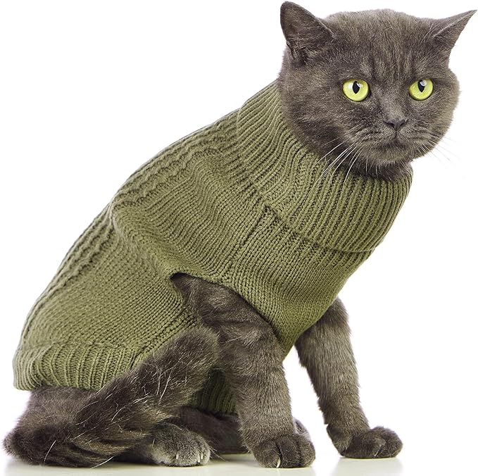 Stretchy Cat Sweater - Image 4