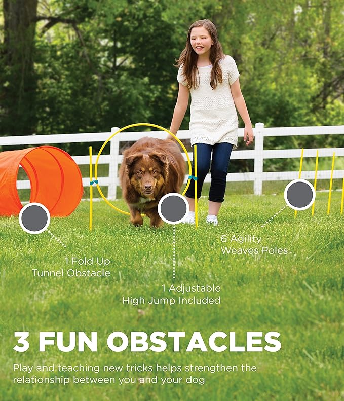 Outward Hound Zip & Zoom Outdoor Dog Agility Training Kit - Image 5