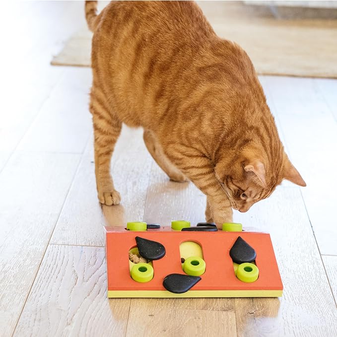 Catstages by Nina Ottosson Melon Madness Puzzle & Play – Interactive Treat - Image 8
