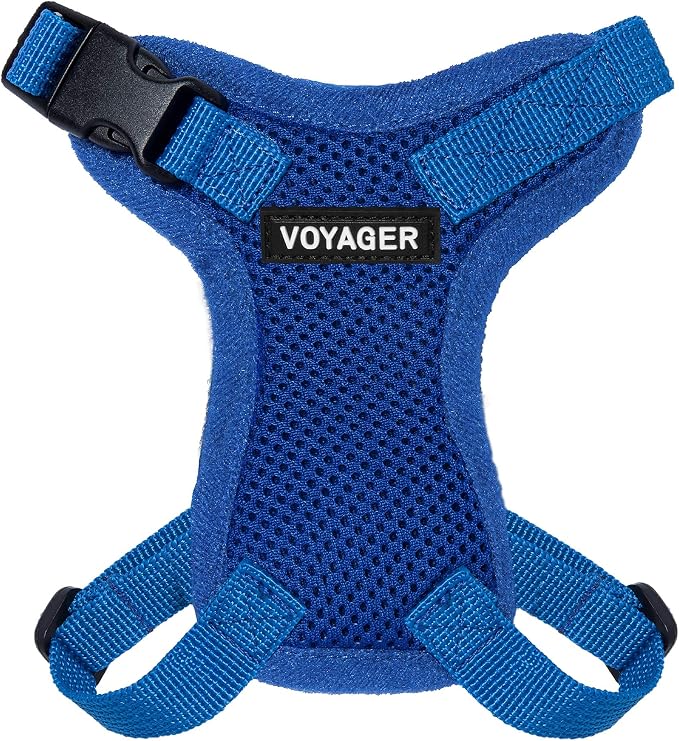 Voyager Step-in Lock Adjustable Cat Harness w. Cat Leash Combo Set by BestPetSuppliesLLC