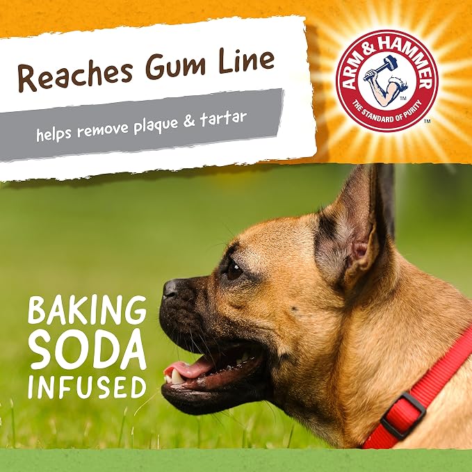 Arm & Hammer for Pets Nubbies Dental Toys T-Rex Dental Chew Toy for Dogs Best - Image 5