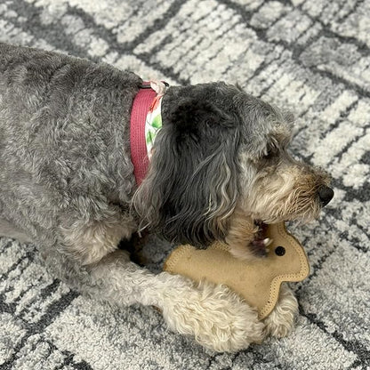 SPOT Dura-Fused Leather Rabbit Dog Toy – Durable Real Leather & Jute Chew Toy - Image 9