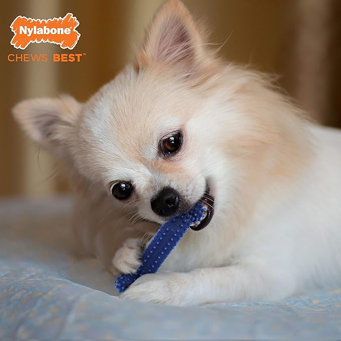 Nylabone Original Bone Flexi Chew Toy - Image 6