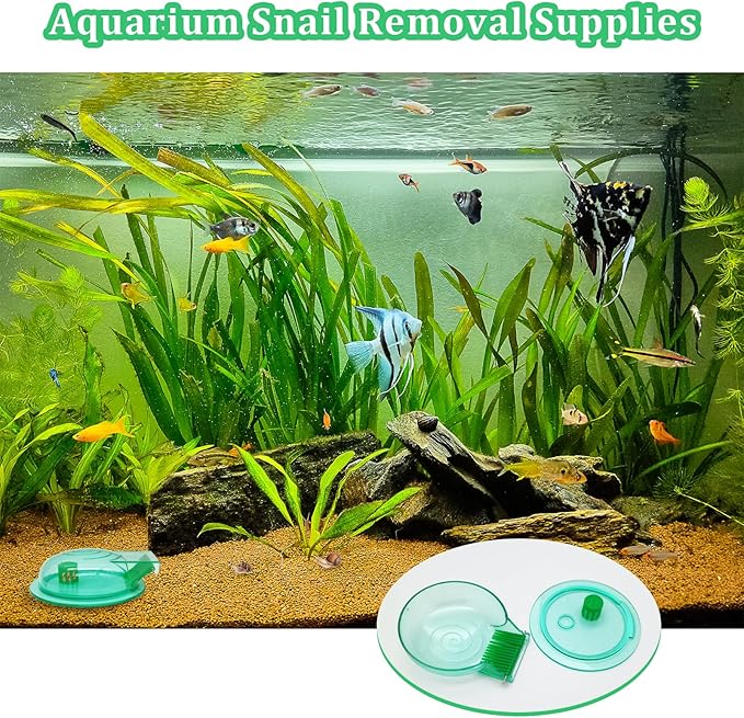 Aquarium Snail Trap, Plastic Snail Catcher - Image 5