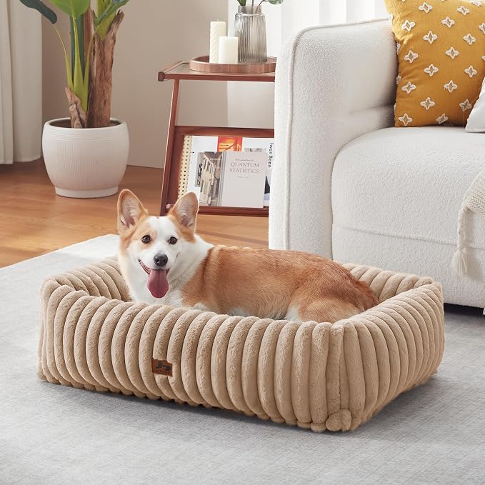 Washable Dog Bed for Small Medium Dogs - Image 9